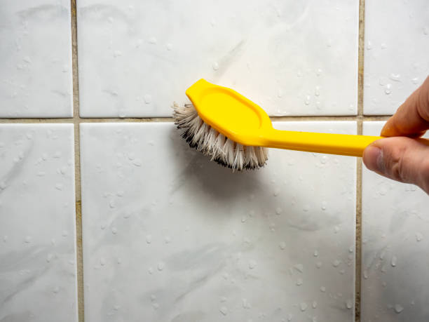 Best Post-Flood Mold Remediation in Valencia, NM