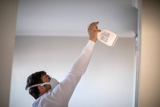 Best Mold Remediation for Specific Building Types in Valencia, NM