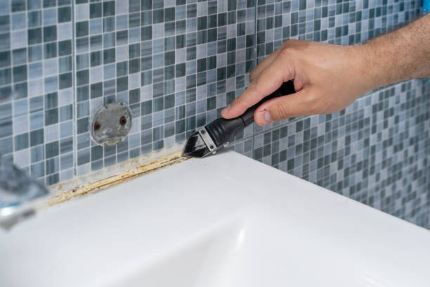 Best Black Mold Remediation in Valencia, NM